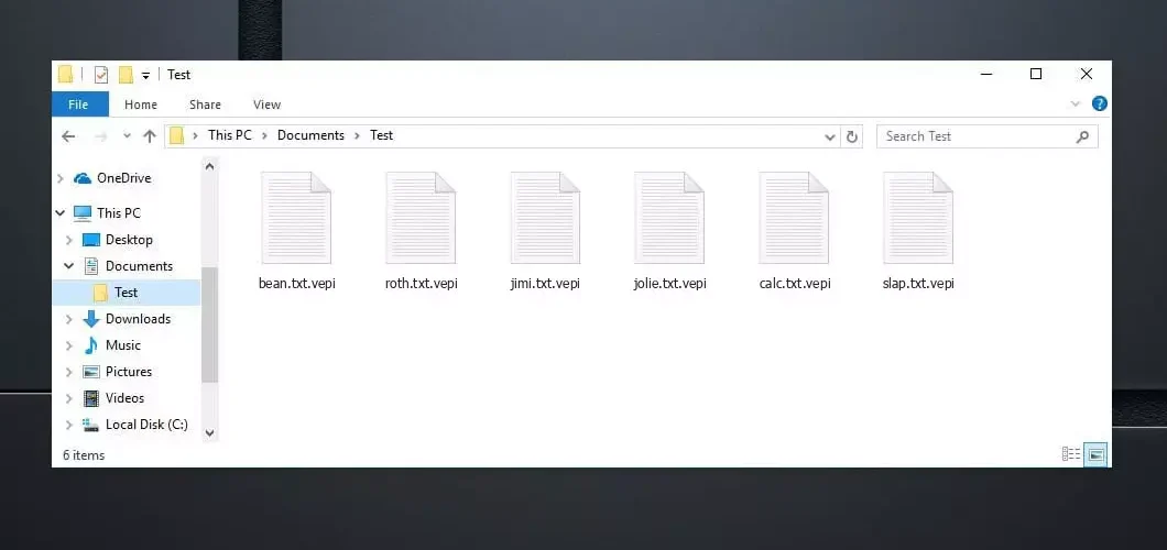 Vepi Files Enrypted by Ransomware