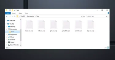 Fichiers Vepi cryptés par Ransomware